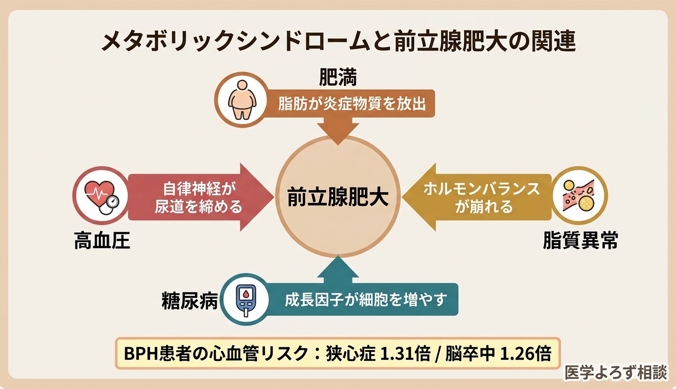 前立腺肥大症とメタボリックシンドロームの分子的つながり