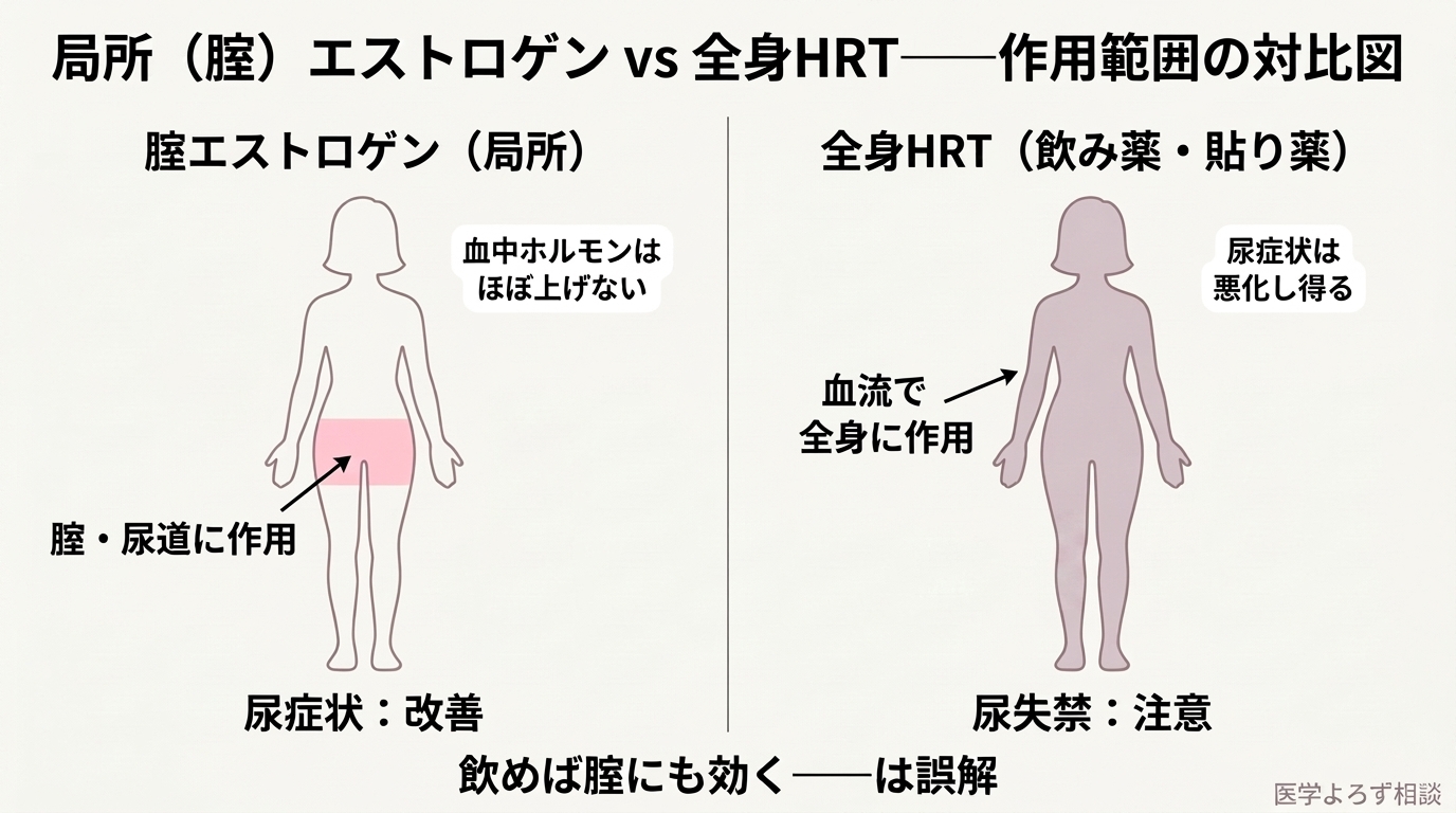 腟エストロゲンは局所にだけ作用し血中ホルモンをほぼ上げないのに対し、全身HRTは血流で全身に作用することを左右で対比した図
