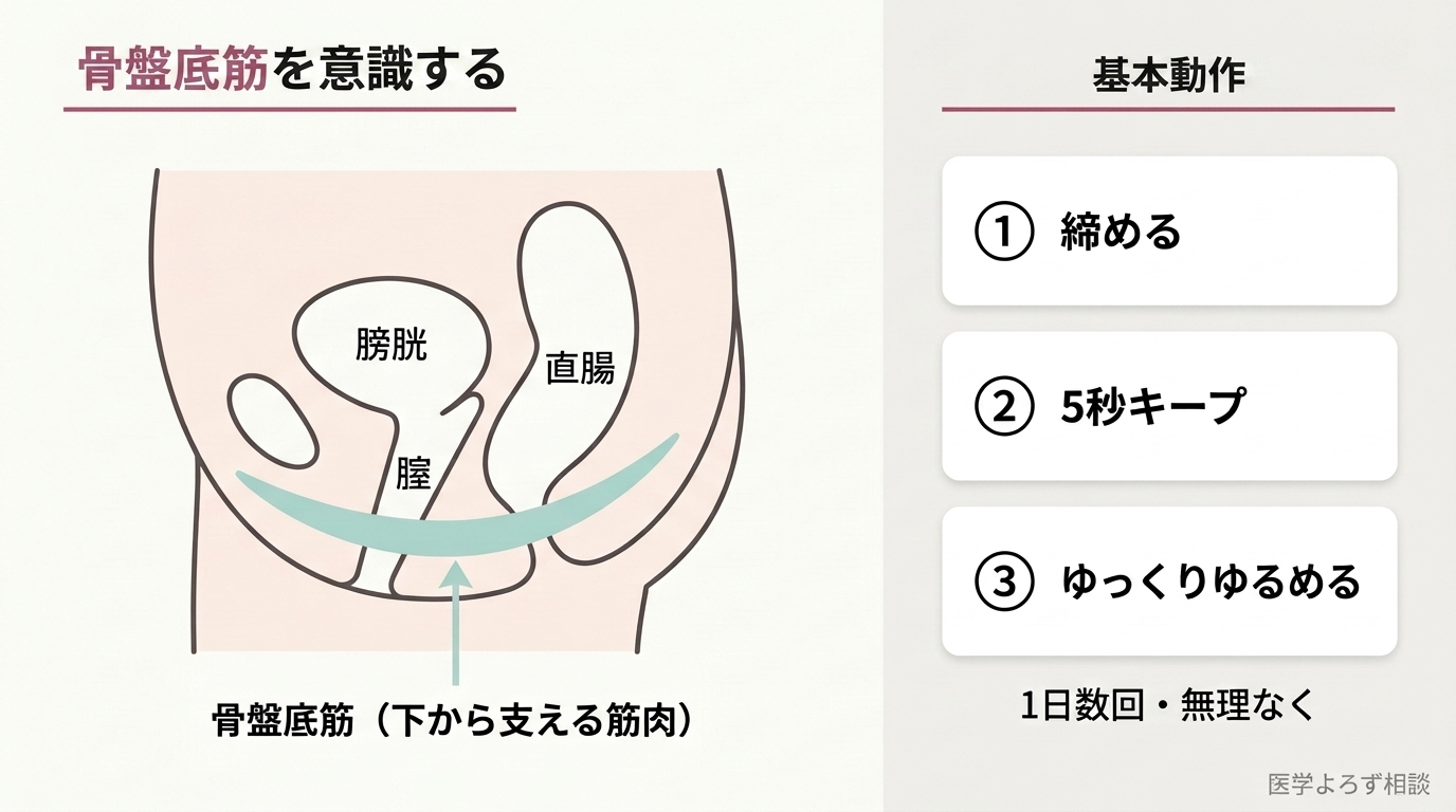 膀胱・腟・直腸を下から支える骨盤底筋の位置と、締める・キープ・ゆるめるの3ステップを示した図
