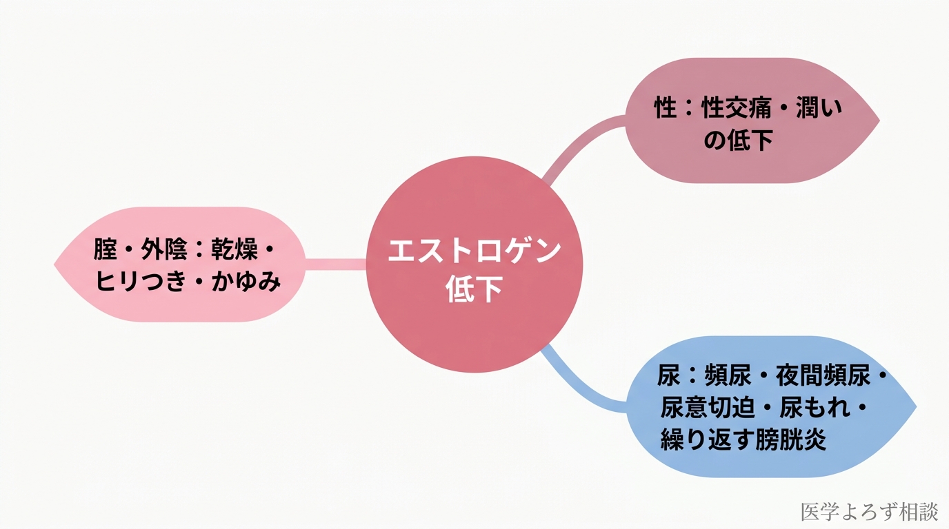 中央のエストロゲン低下から、腟・外陰の症状、性の症状、尿の症状の3グループに枝分かれするGSMの症状マップ