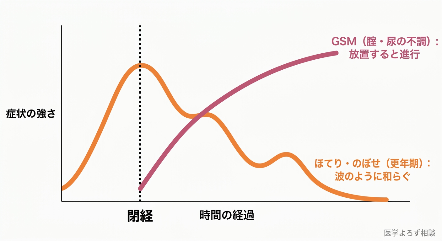 閉経からの時間を横軸に、ホットフラッシュは山なりに和らぐ波、GSM症状は放置すると進行する曲線として対比した概念図