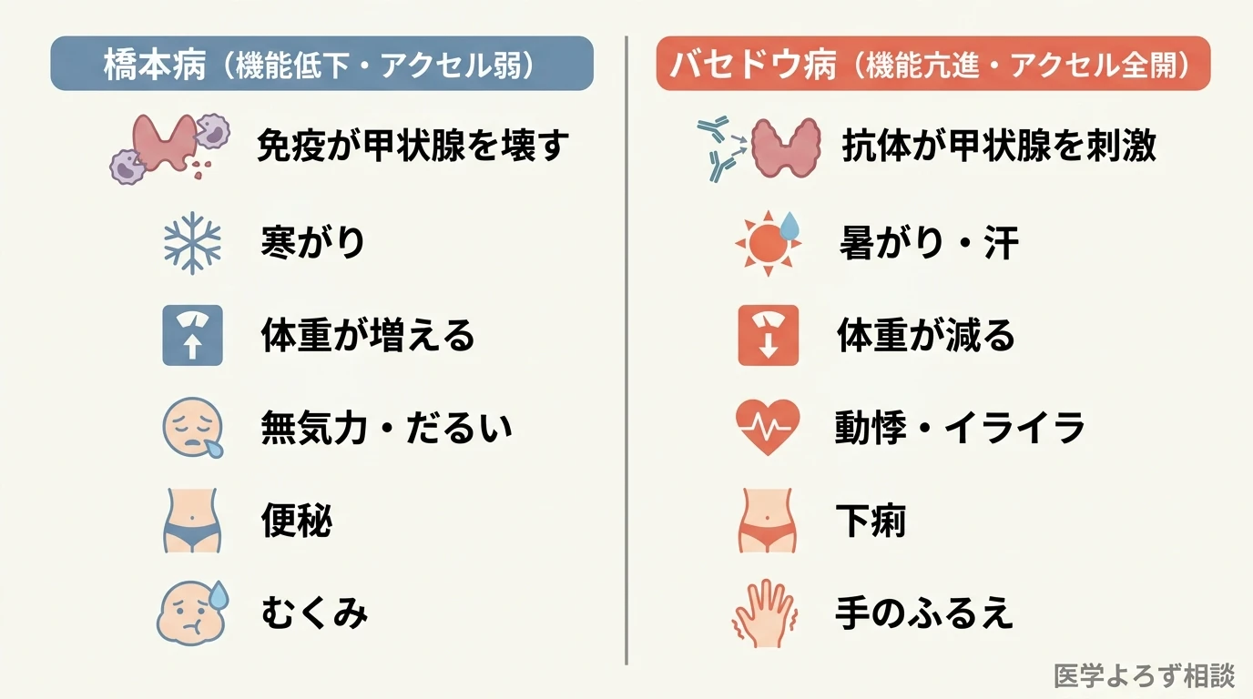 橋本病（機能低下）とバセドウ病（機能亢進）で、寒がりと暑がり・体重増と減など症状が鏡写しになることを対比した図