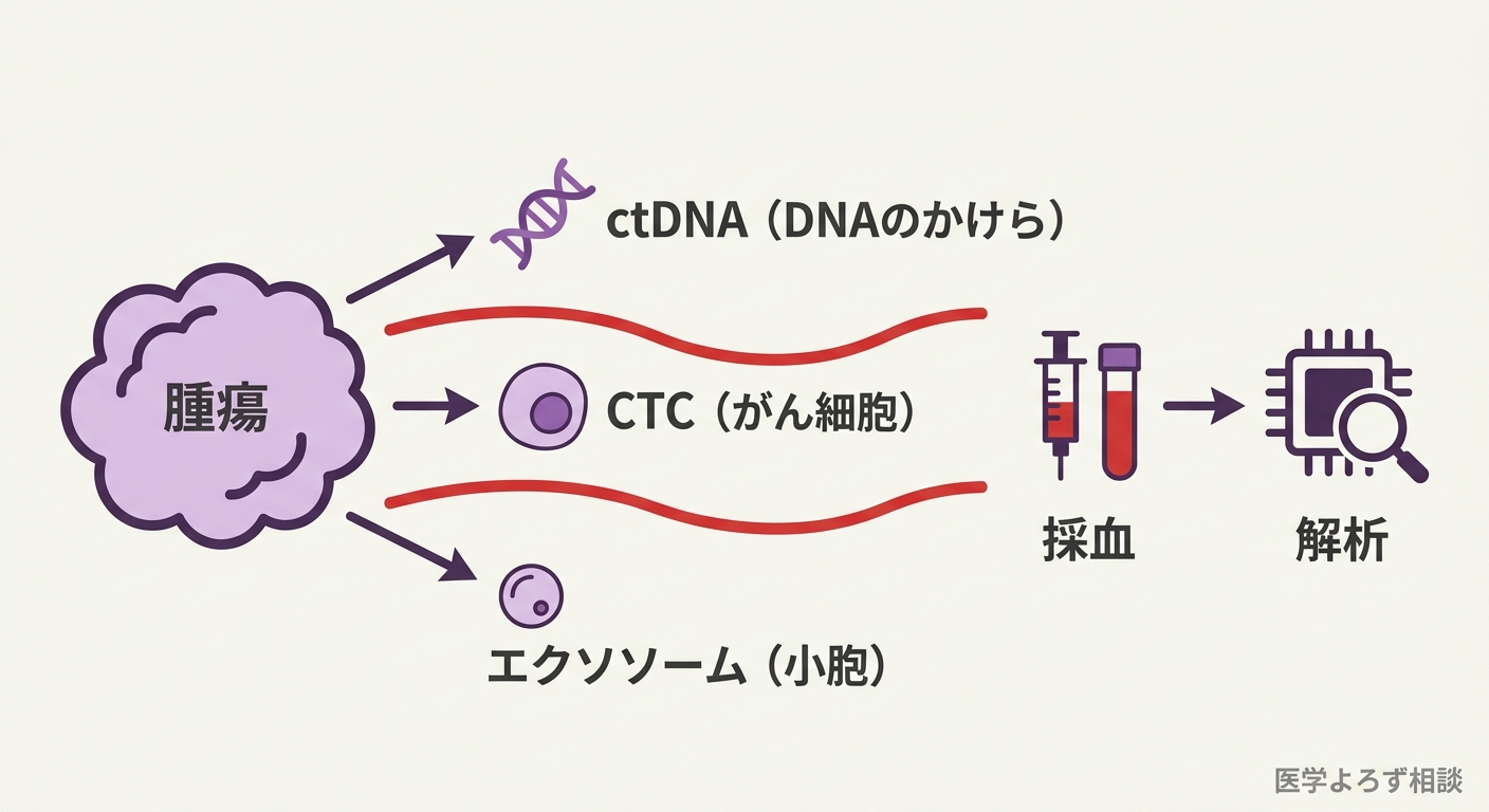 腫瘍から血液中へctDNA（DNA断片）、CTC（がん細胞そのもの）、エクソソーム（小胞）が漏れ出し、採血で回収して解析する全体像
