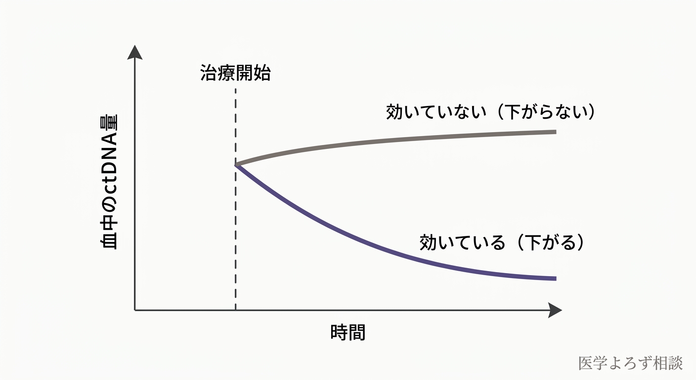 治療開始後にctDNA量が低下する奏効パターンと、低下せず上昇する非奏効パターンを経時的に示す概念曲線図