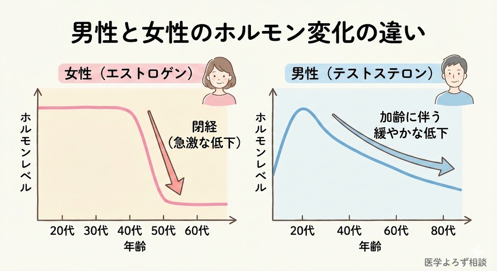 男性と女性のホルモン変化の違い