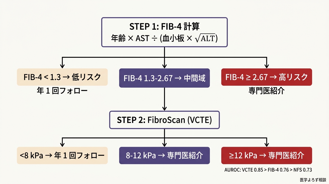 FIB-4 と FibroScan の 2 段階非侵襲アルゴリズム フローチャート。ステップ 1: FIB-4 計算（年齢 × AST ÷（血小板 × √ALT））→ 3 分岐：< 1.3 で低リスク（年 1 回フォロー）、1.3-2.67 で中間（FibroScan 追加）、≥ 2.67 で高リスク（消化器内科紹介）。ステップ 2: FibroScan（VCTE）→ 3 分岐：< 8 kPa で除外、8-12 kPa で中間、≥ 12 kPa で有意な線維化、≥ 15 kPa で進行線維化（F3 以上）。AUROC: VCTE 0.85 > FIB-4 0.76 > NFS 0.73。出典: Mózes et al. Gut 2022 (37 研究 IPD-MA, n=5,735)。