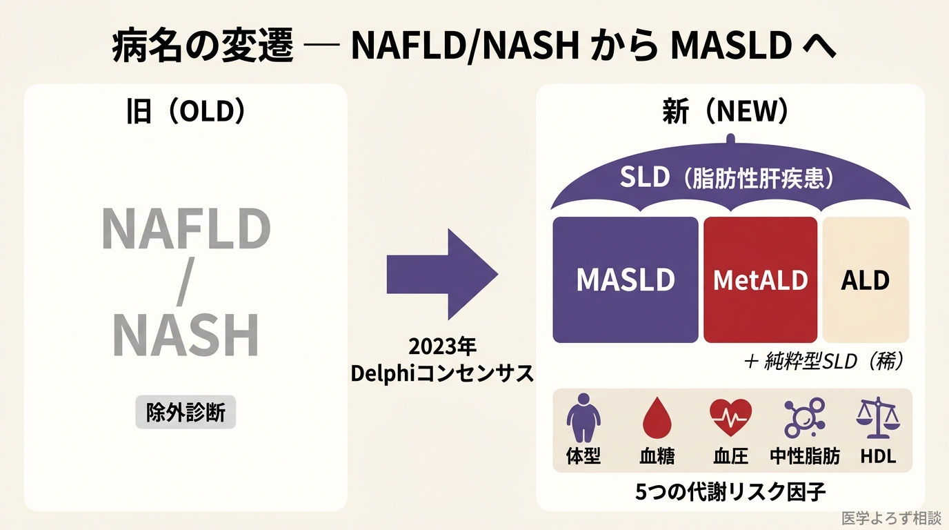 NAFLD から MASLD への病名変遷図。左に旧名 NAFLD/NASH（除外診断、スティグマ）、右に SLD（脂肪性肝疾患）を傘概念とした 3 カテゴリー（MASLD：代謝異常関連脂肪性肝疾患、MetALD：代謝異常+過量飲酒、ALD：アルコール関連肝疾患）と cryptogenic SLD の注記。中央に 2023 年 Delphi コンセンサスによる病名変更の矢印。5 つの代謝リスク因子（BMI/血糖/血圧/TG/HDL）。出典: Rinella et al. Hepatology 2023。
