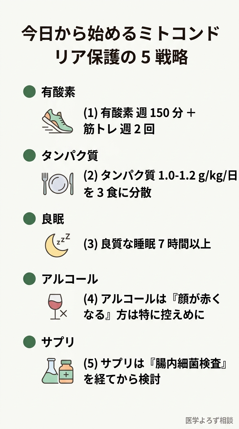今日から始めるミトコンドリア保護の5戦略チェックリスト。(1)有酸素週150分+筋トレ週2回、(2)タンパク質1.0-1.2g/kg/日を3食に分散、(3)良質な睡眠7時間以上、(4)アルコールは顔が赤くなる方は特に控えめに、(5)サプリは腸内細菌検査を経てから検討