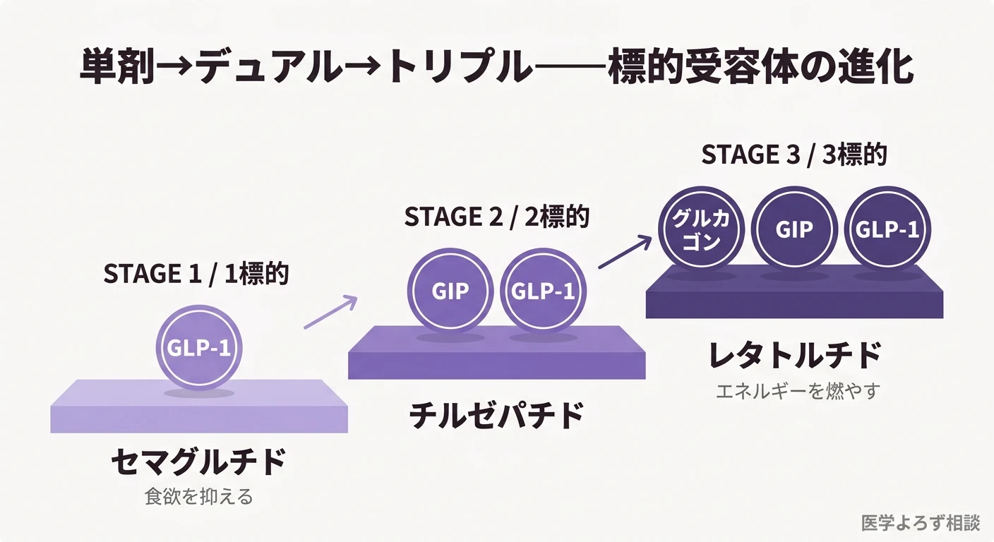 1標的のGLP-1単剤から、2標的のGIP/GLP-1デュアル、3標的のトリプルアゴニストへと進化する段階図