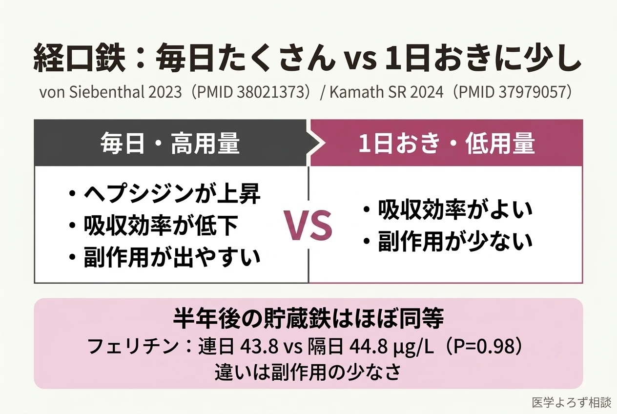 毎日高用量の鉄はヘプシジンが上がり副作用が出やすく、1日おき低用量は効率がよく副作用が少ないが、半年後の貯蔵鉄は同等であることを示す対比図