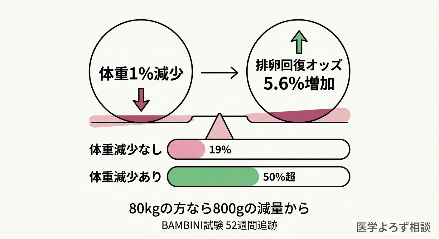 体重減少と排卵回復の関係を示すインフォグラフィック。体重1%減で排卵オッズ5.6%増加