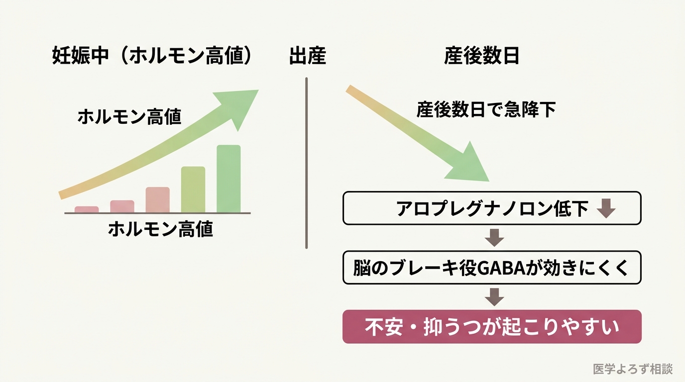 妊娠中のホルモン高値から出産後の急降下、アロプレグナノロン低下を経て脳のGABAが効きにくくなり不安抑うつが起こりやすくなる流れを示す概念図
