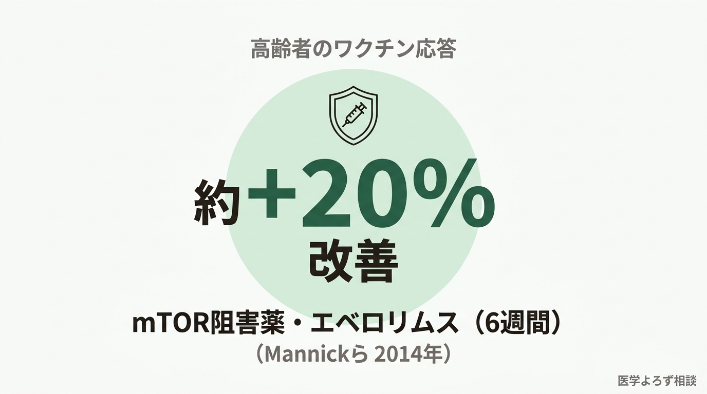 高齢者にmTOR阻害薬エベロリムスを6週間使うとインフルエンザワクチンへの応答が約20%改善したことを示す研究結果