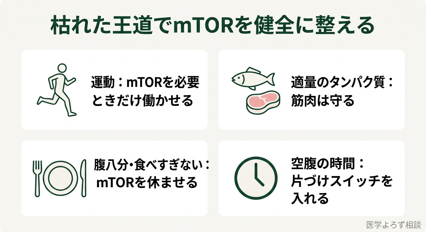 運動・適量のタンパク質・腹八分・空腹の時間という生活習慣がmTORを健全に保ちオートファジーを促すことを示す実践ガイド