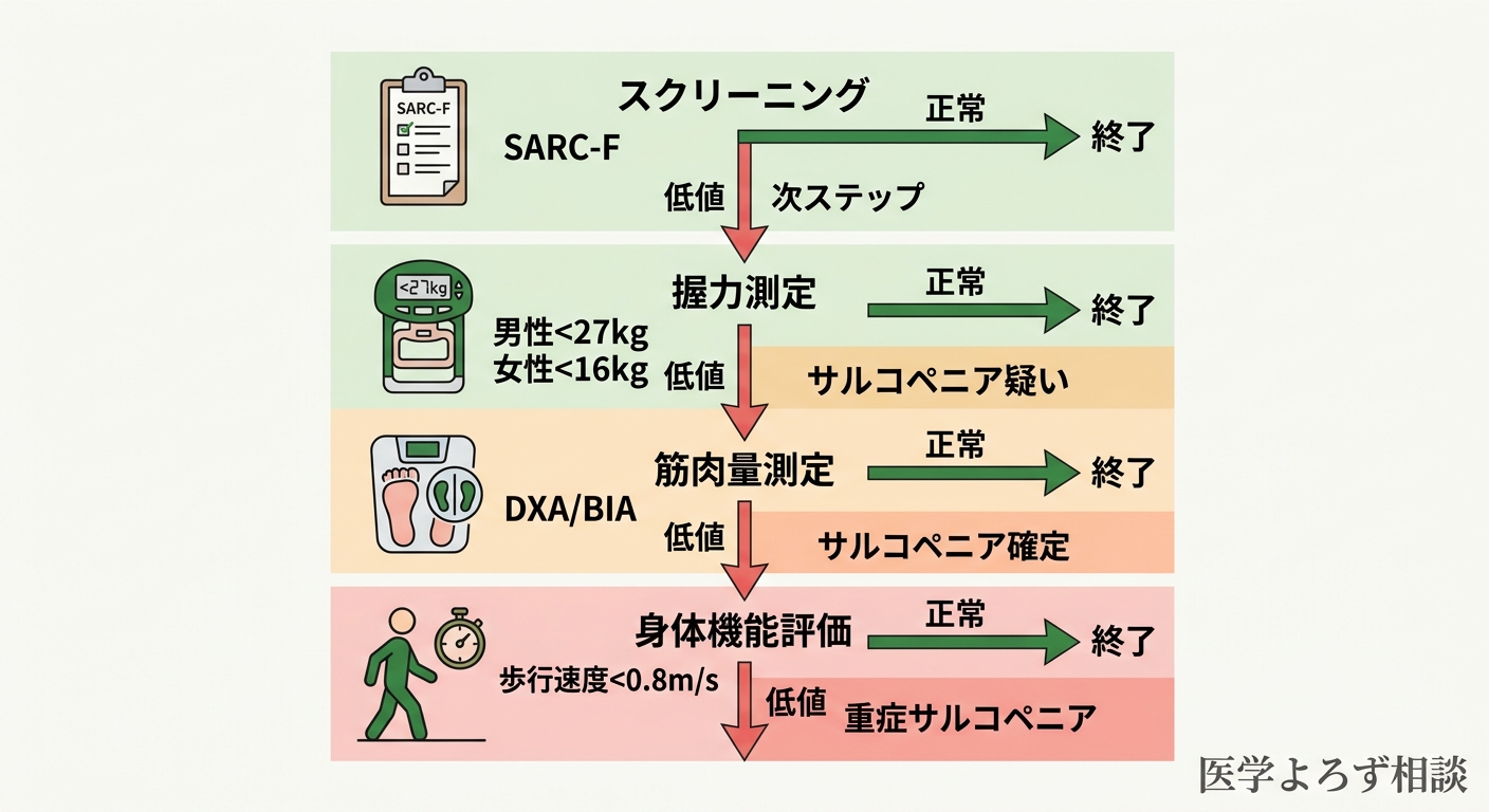 EWGSOP2のサルコペニア診断3段階フロー：第1段階で握力低下を確認、第2段階で筋肉量低下を確定、第3段階で身体機能低下で重症判定