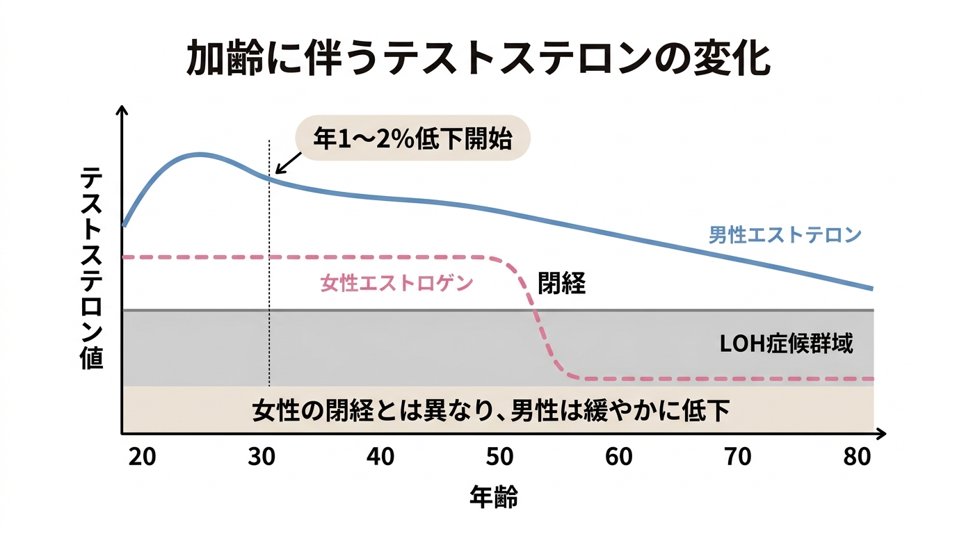 加齢に伴うテストステロンの低下曲線