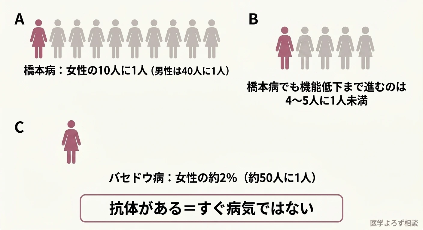 橋本病は女性の10人に1人、機能低下まで進むのは4〜5人に1人未満、バセドウ病は女性の約2%という日本の甲状腺疾患の頻度を示す図