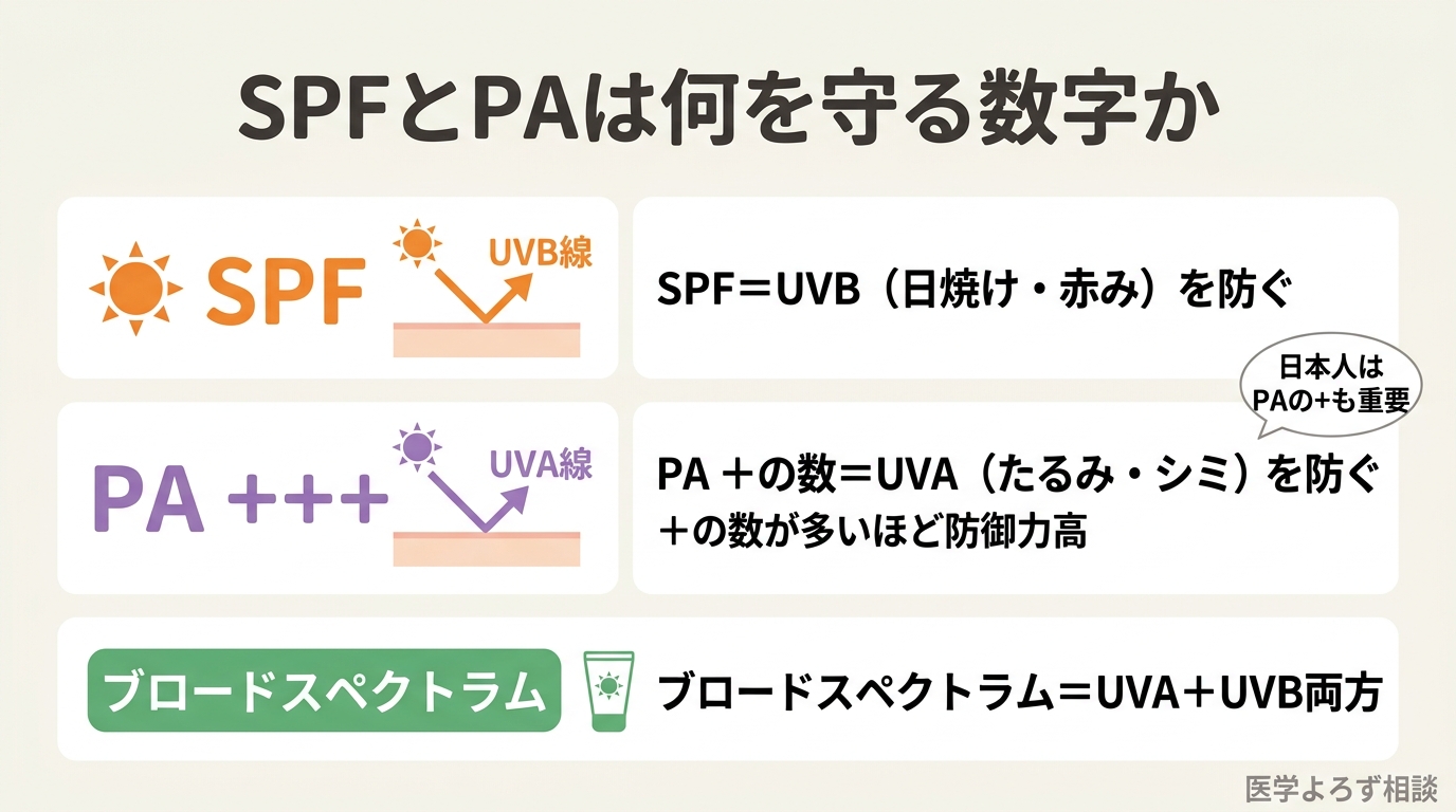 SPFはUVBによる日焼け・赤みを防ぐ指標、PAはUVAによるたるみ・シミを防ぐ指標であることと、ブロードスペクトラム表示の意味を示した実践図