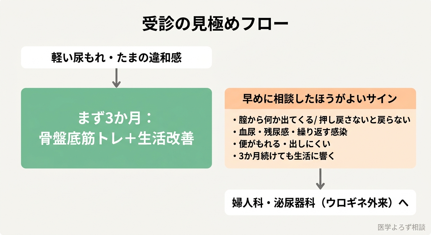 尿もれ・骨盤臓器脱の受診の見極めフローチャート。軽い症状はまず骨盤底筋トレと生活改善を3か月、臓器の明らかな脱出・血尿・残尿・便失禁などのサインがあれば婦人科・泌尿器科のウロギネ外来へ、という判断の流れ