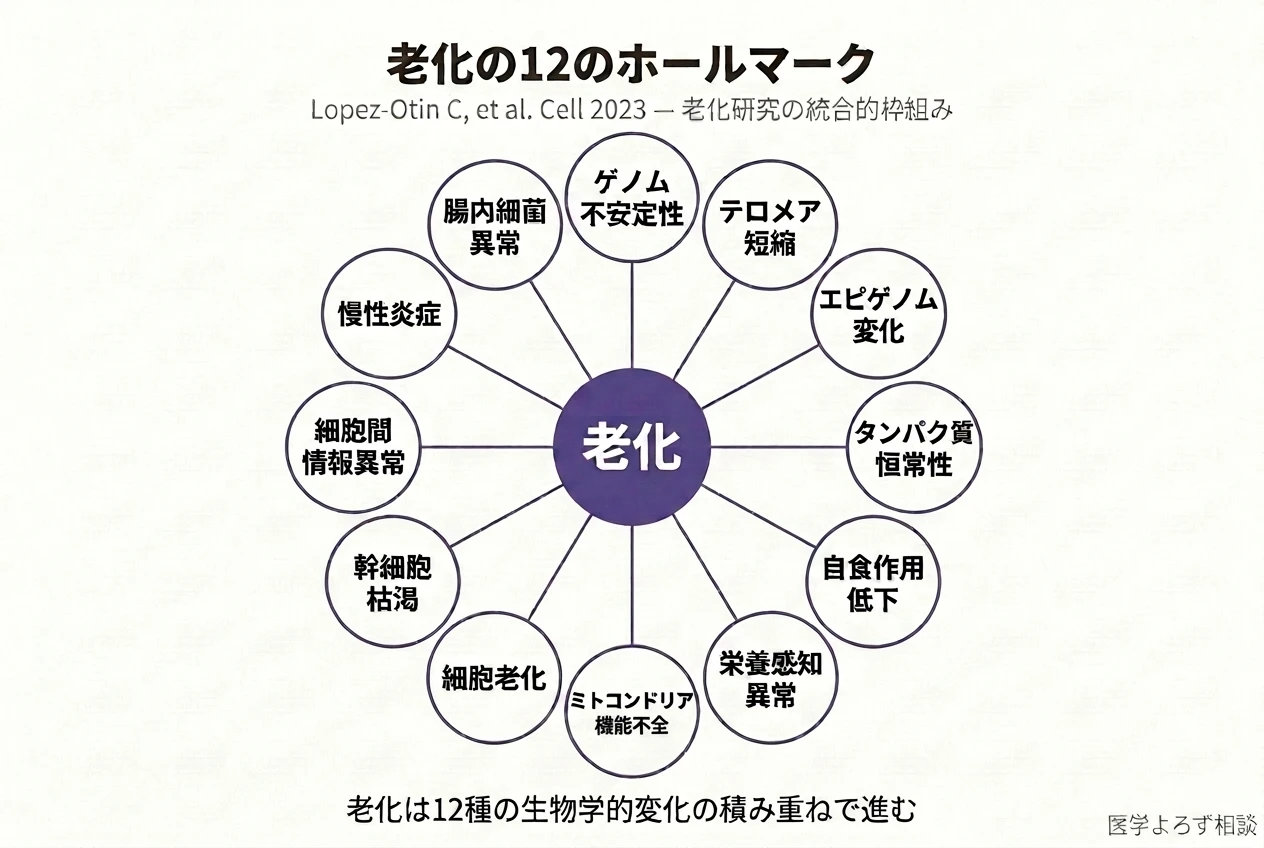 Hallmarks of aging: An expanding universe の研究結果