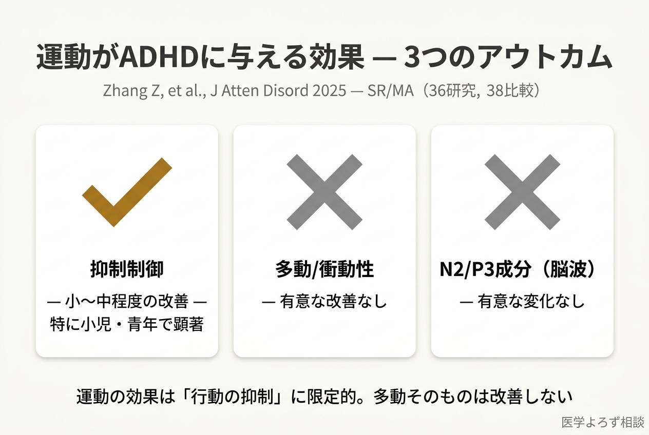 運動がADHDに与える効果 — 3つのアウトカム