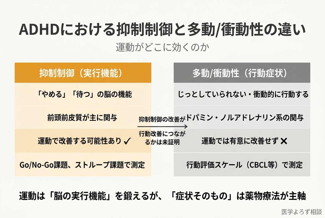ADHDにおける抑制制御と多動/衝動性の違い