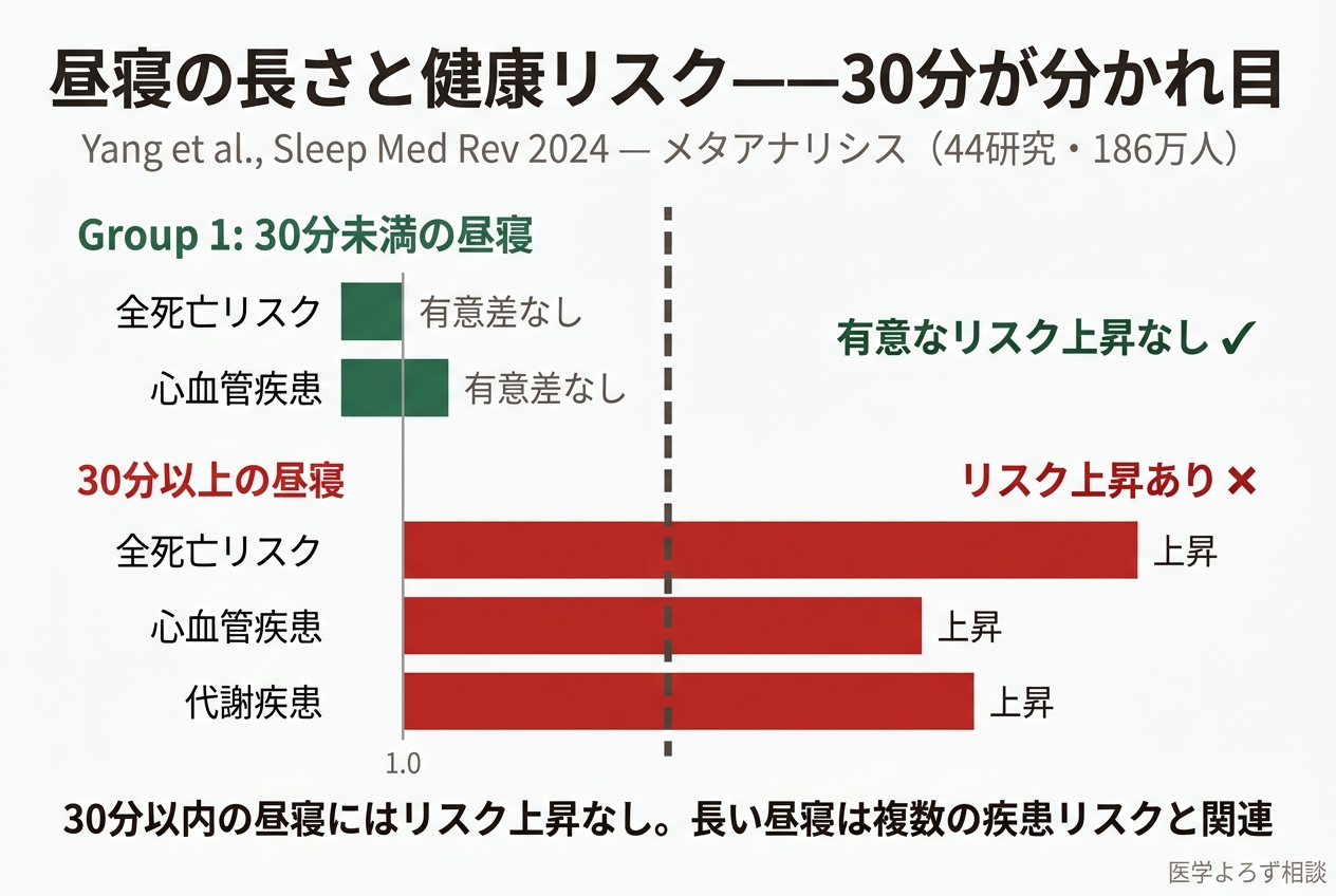 昼寝の長さと健康リスク——30分が分かれ目