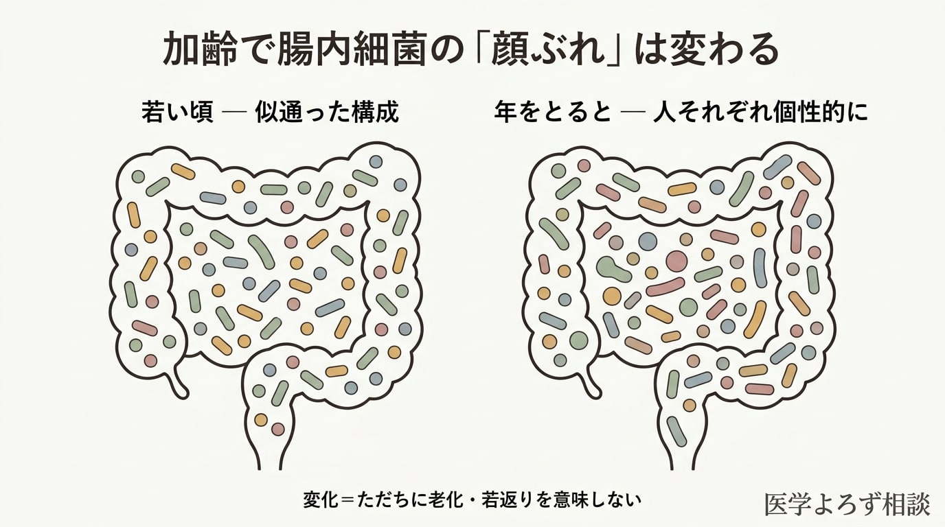加齢とともに腸内細菌の顔ぶれ(構成)が変化することを示す中立的な概念図。変化=ただちに老化・若返りを意味しない