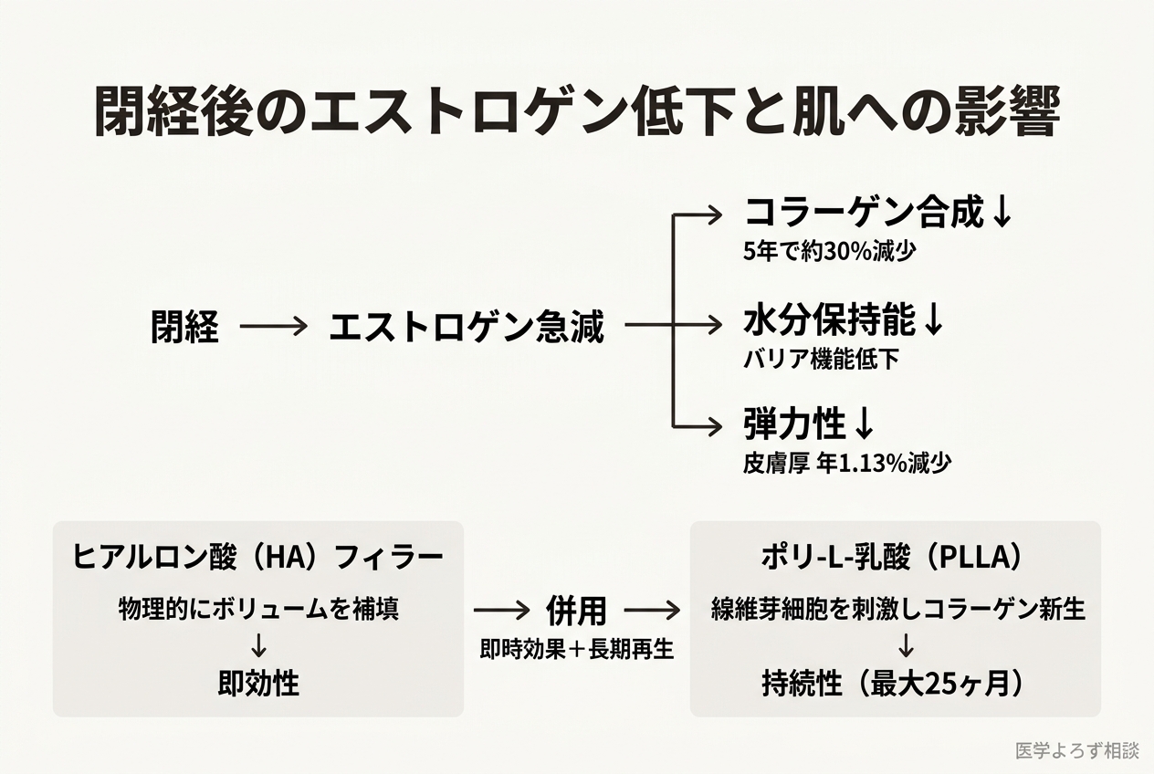 閉経後のエストロゲン低下と肌への影響