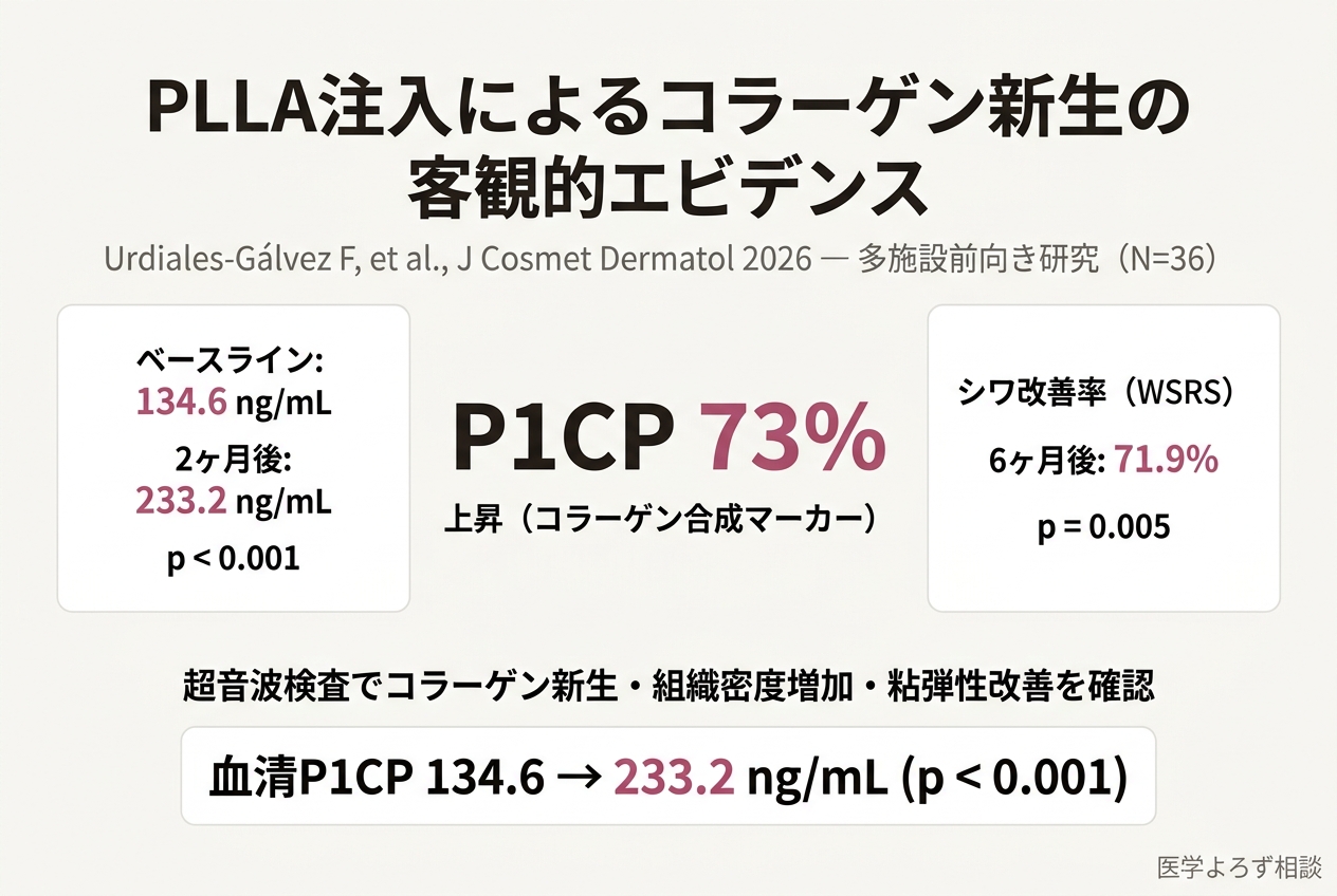 PLLA注入によるコラーゲン新生の客観的エビデンス